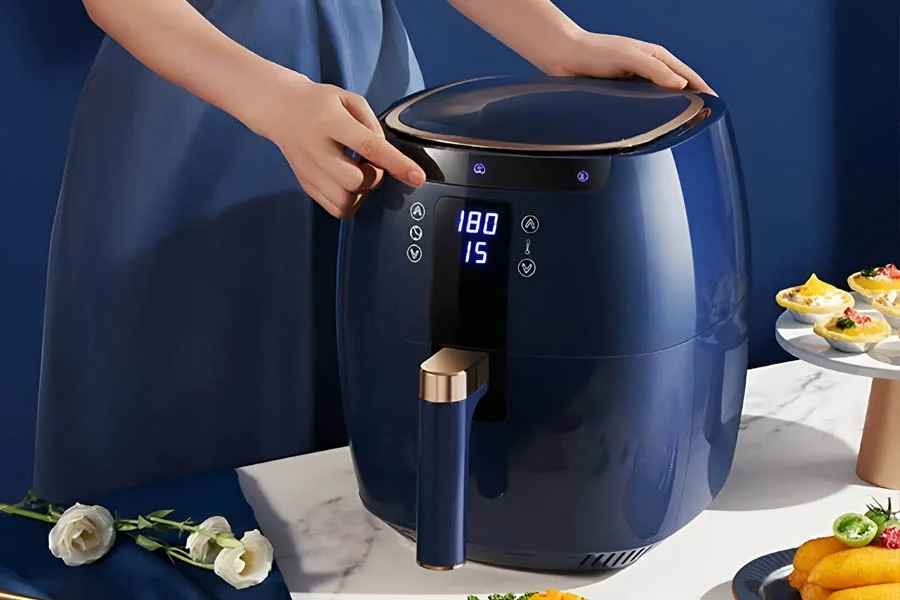 popular air fryer